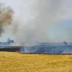 Flächenbrand: Ursachen, Auswirkungen und Strategien zur Bekämpfung