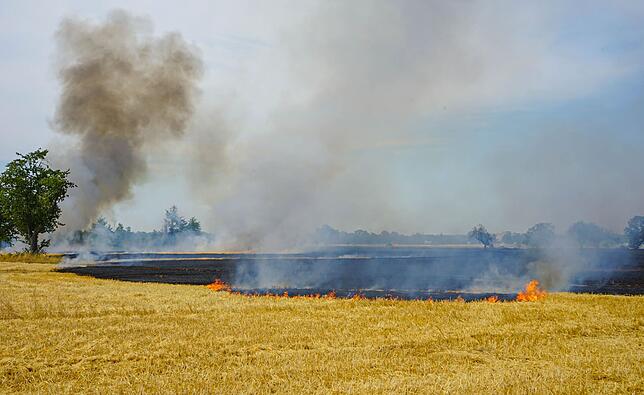 Flächenbrand: Ursachen, Auswirkungen und Strategien zur Bekämpfung